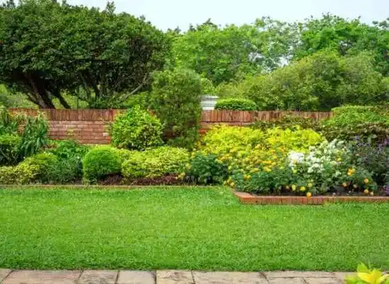 landscaping services St. Louis Park